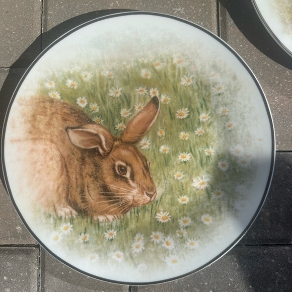 Pottery Barn Easter Rabbit Dinner Plates
Set of Four Cottagecore Shabby chic - Picture 4 of 5